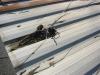Electrical service wires laying on metal roof- Shock hazard